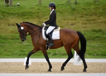 Equestrian-Fitness-Personal-Training